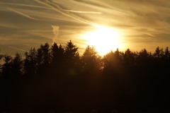 Impression zu einem erfolgreichen Wettbewerbstag