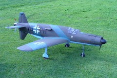 Do335 "Ameisenbär"
