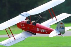 Tiger Moth von Fred