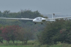 Segler im Landeanflug